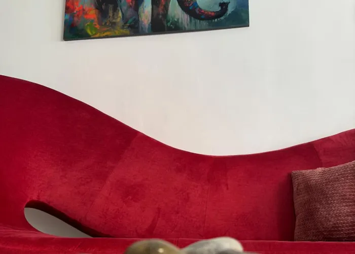 Dream Loft Sc Appartement *