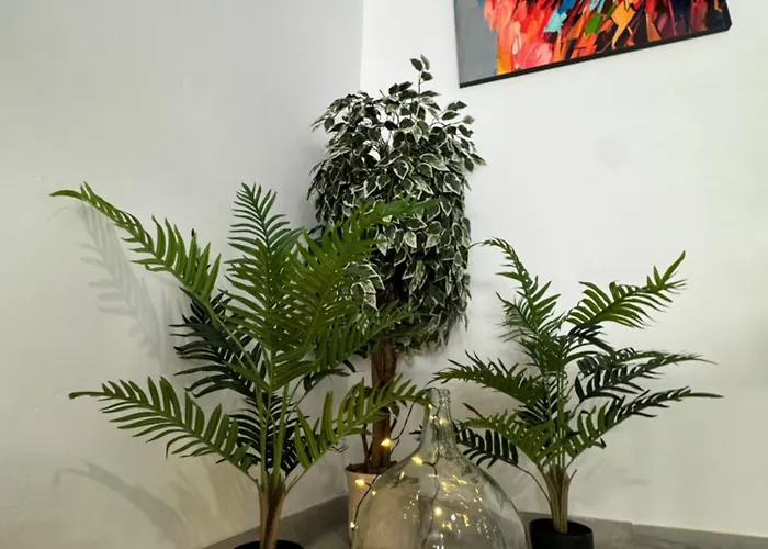 Dream Loft Sc Santa-Cruz de Ténérife