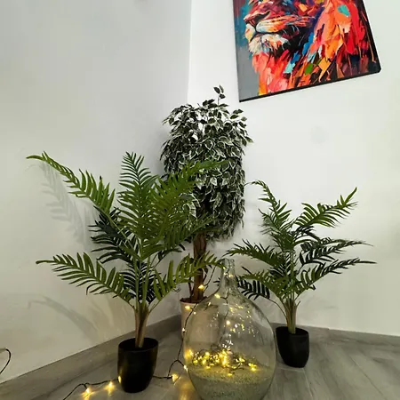 Dream Loft Sc 산타크루스데 테네리페